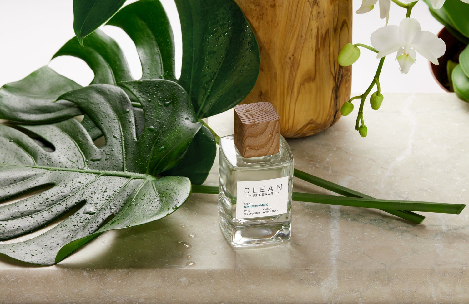 Under the Stars: Aquarius Season