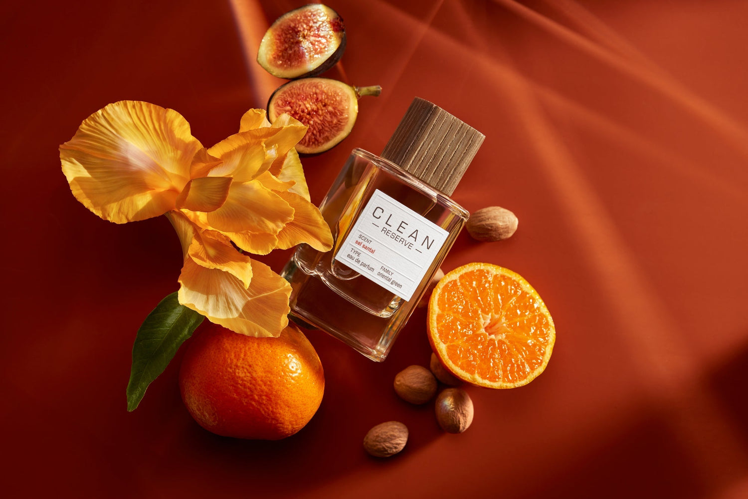 Under the Stars: Capricorn Season