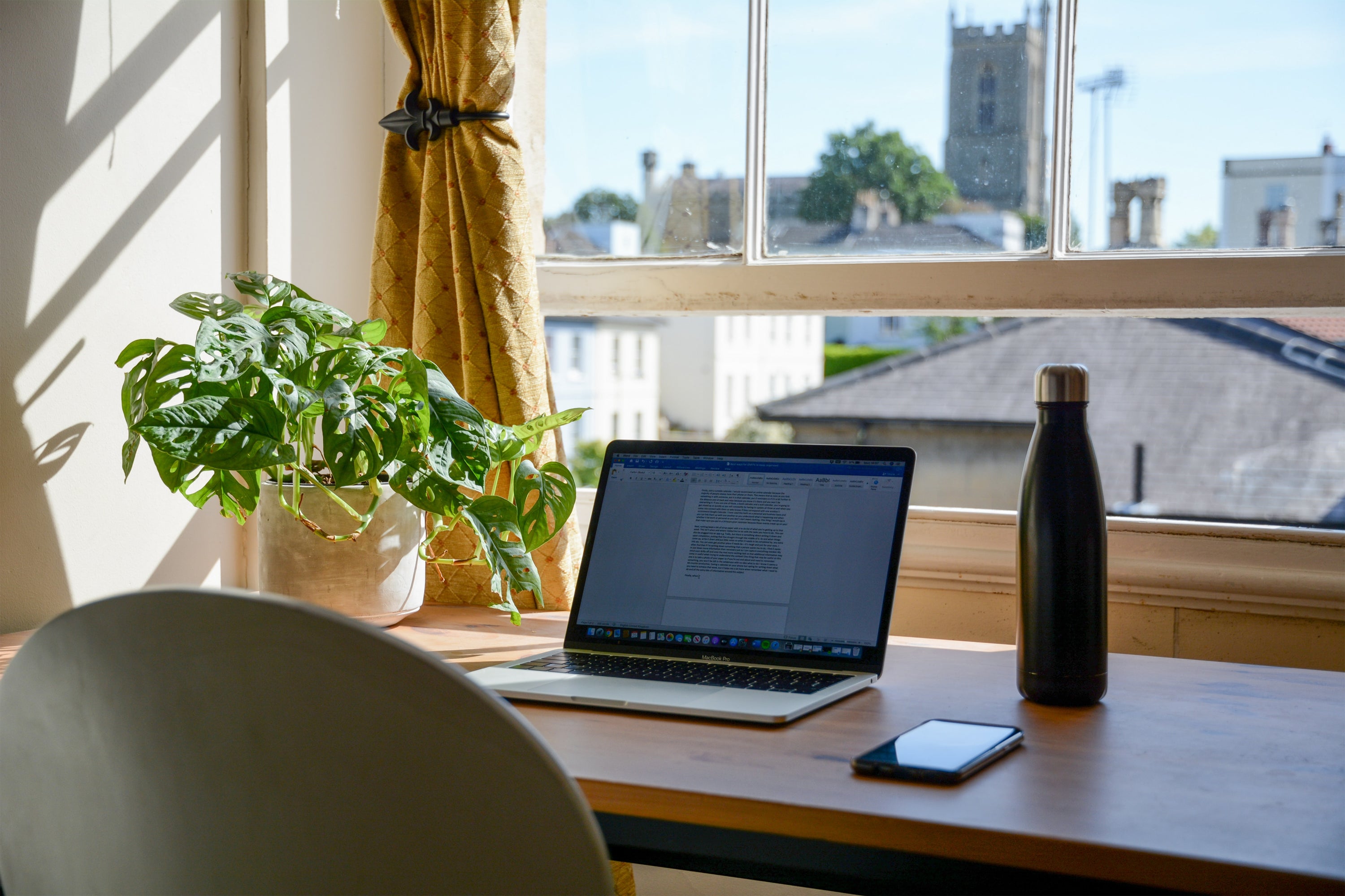 desk with plant and laptop