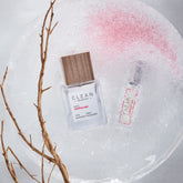 Sparkling Sugar Travel Size Fragrance Gift Set in ice