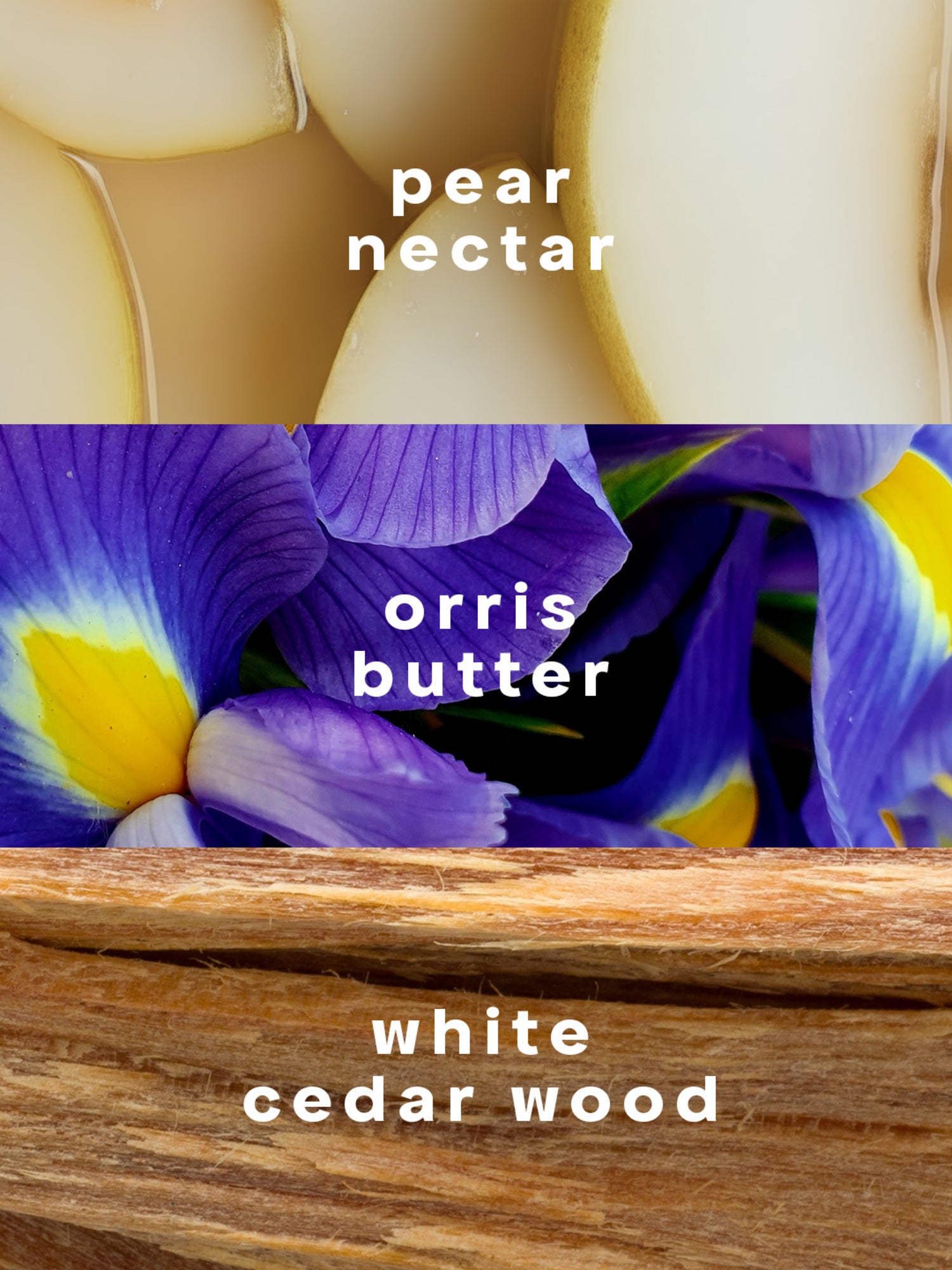 Radiant Nectar