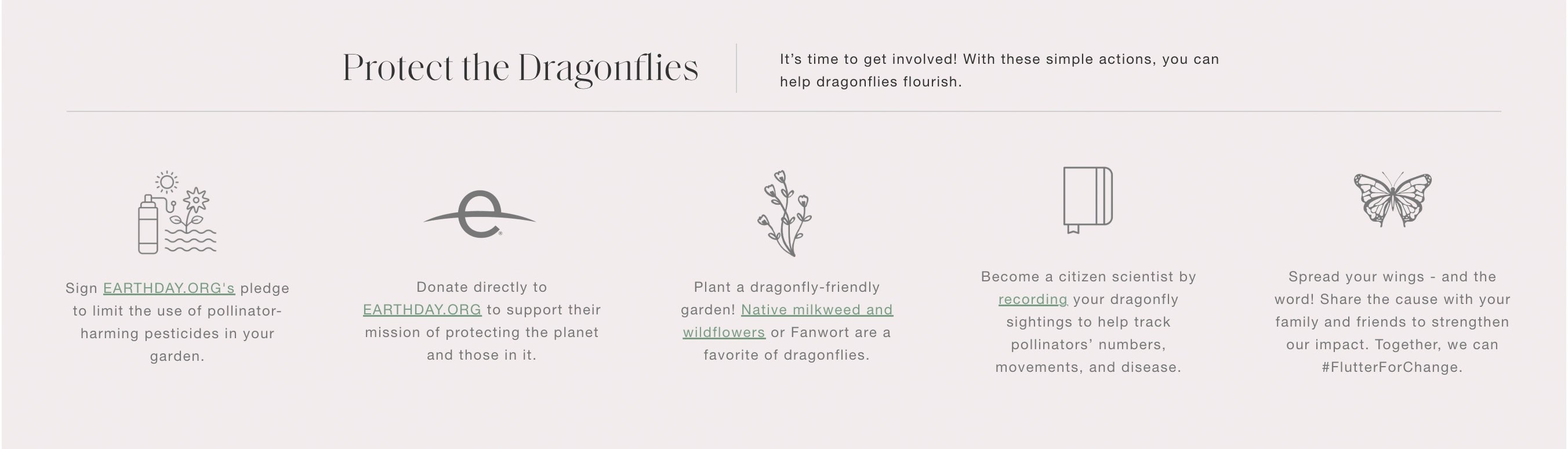 Protect the dragonflies