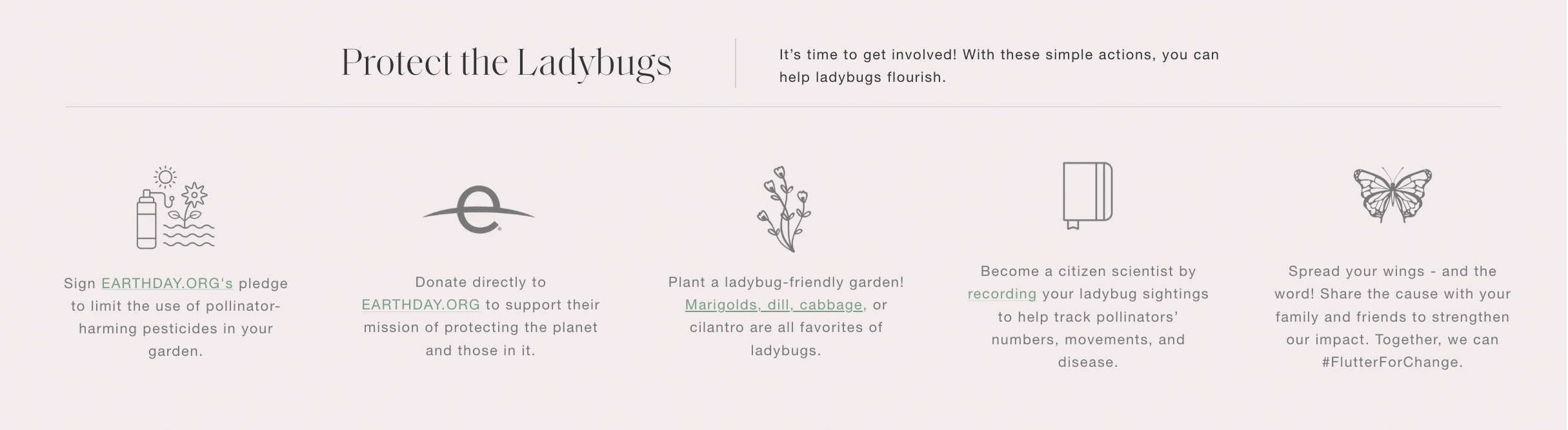 Protect the ladybugs info