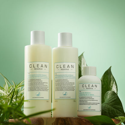 Tapioca Dry Shampoo