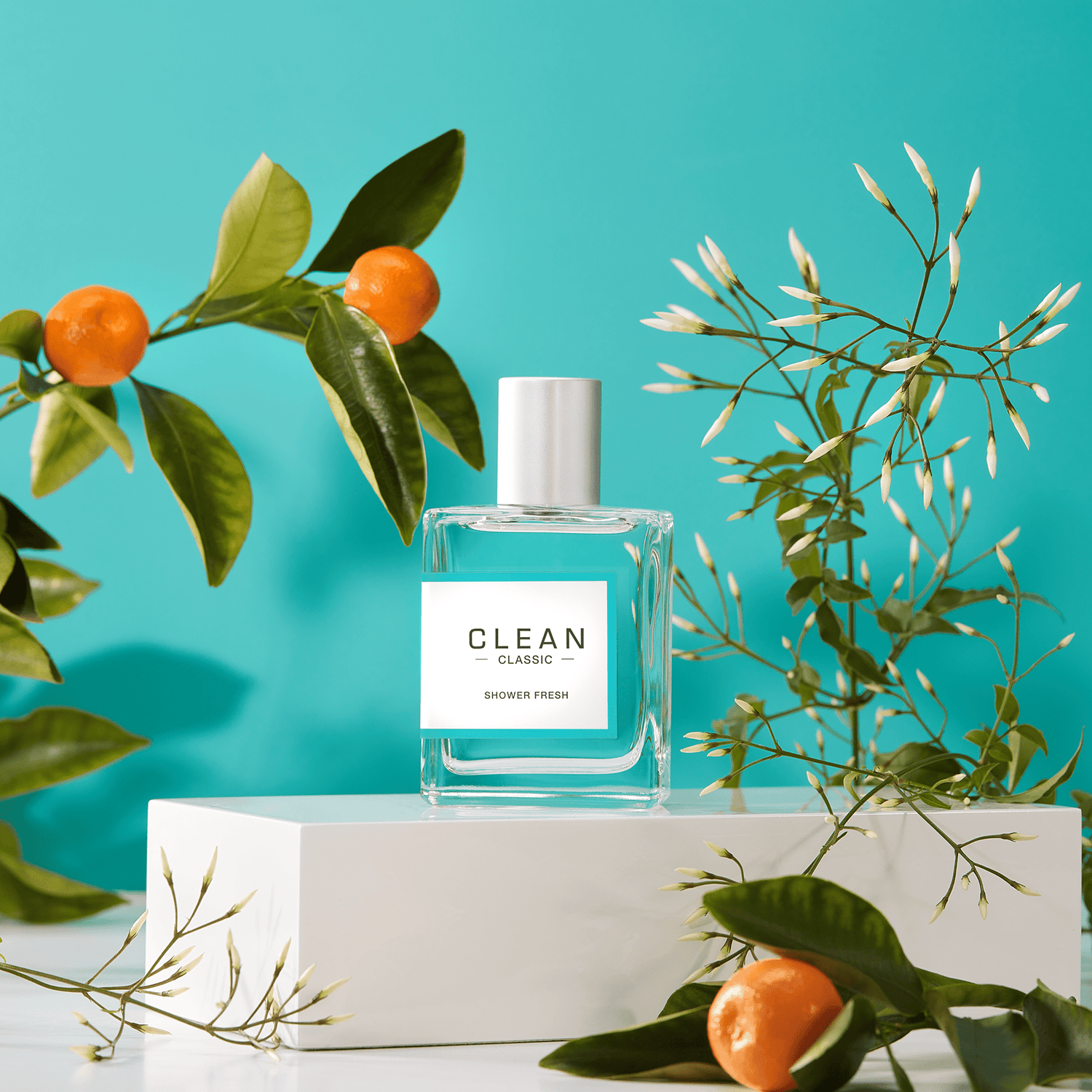 Clean scents for a refreshing day🌬️ #vinevida #fragrancenet #fresh #p